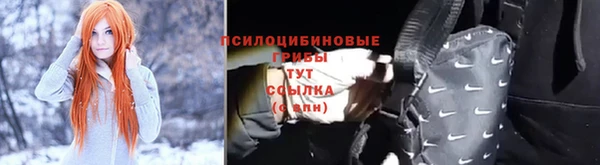 винт Баксан