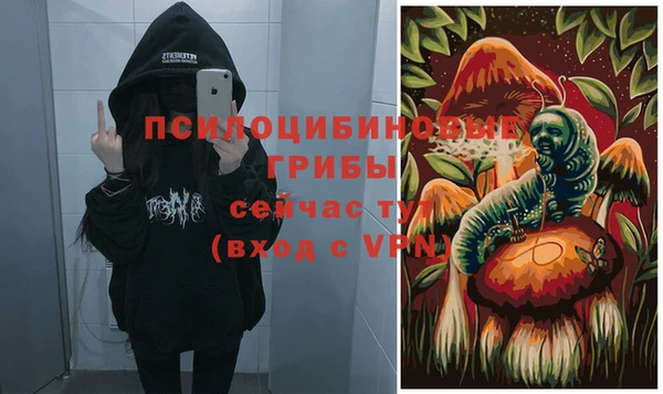 прущая мука Балахна
